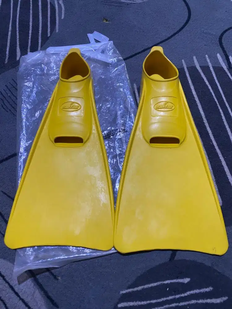 Pantas kaki katak renang panjang