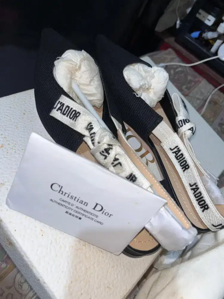 Punya sepatu dior