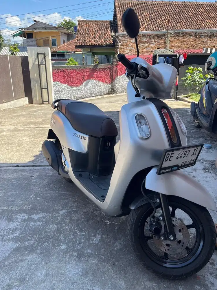 jual fazzio 2023