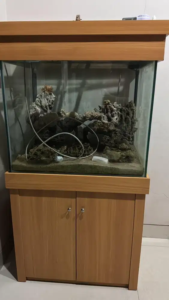 Dijual Aqurium surabaya