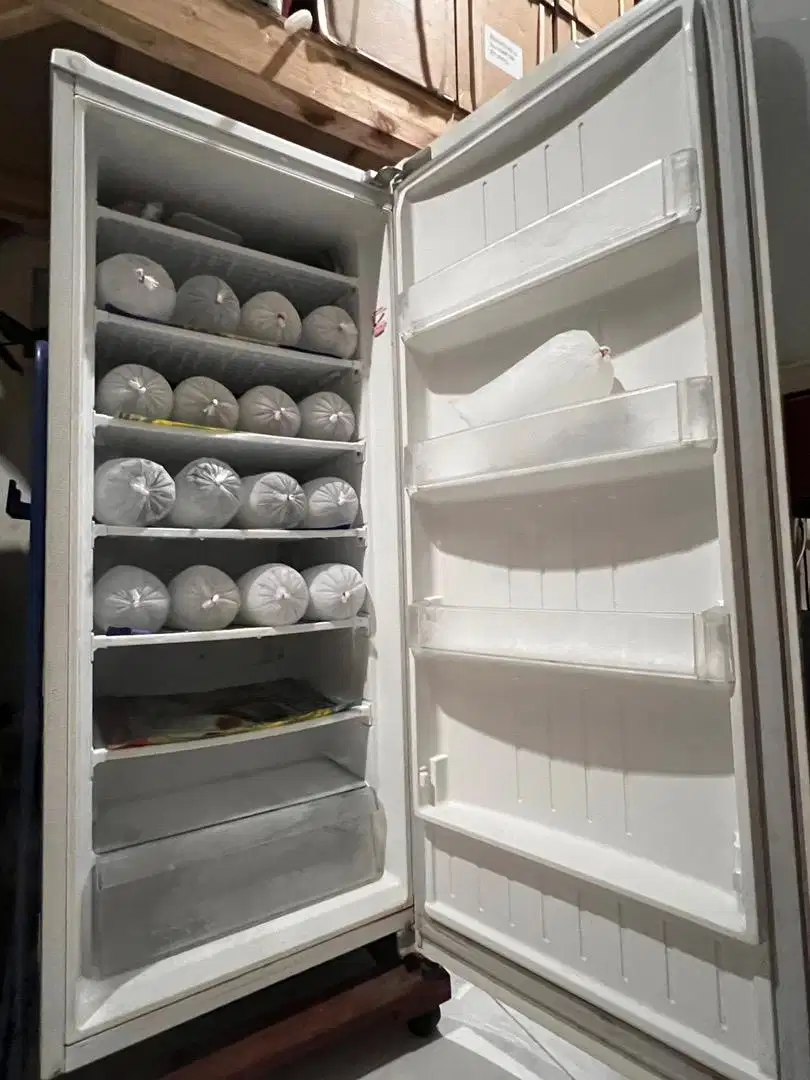 diJual Freezer LG Inverter freezer 1 pintu kondisi bagus hemat listrik