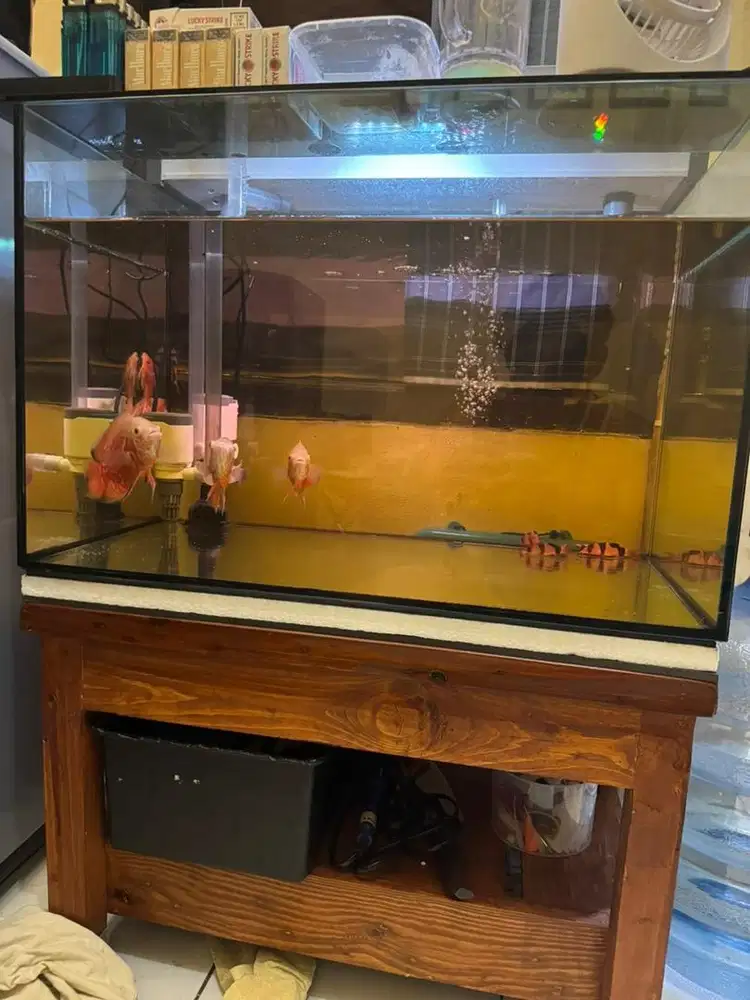 Di Jual Aquarium Remless P60 L40 T50
