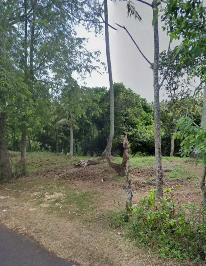 Tanah View Sawah dan Jungle dekat Pantai Kelecung Bali