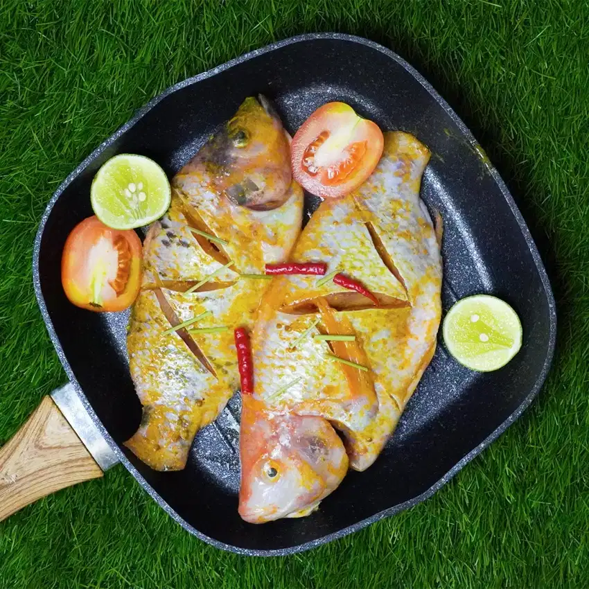 Ikan nila Frozen marinasi tinggal goreng Gaza Fishery
