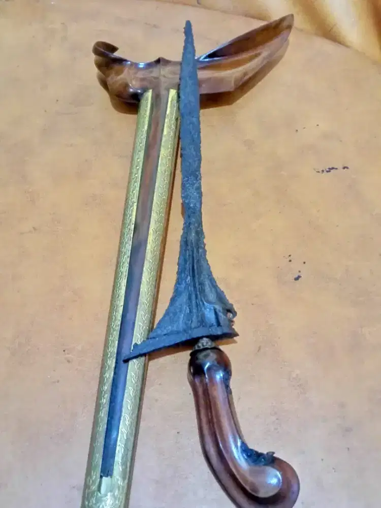 JALAK SINOM SINGOSARI