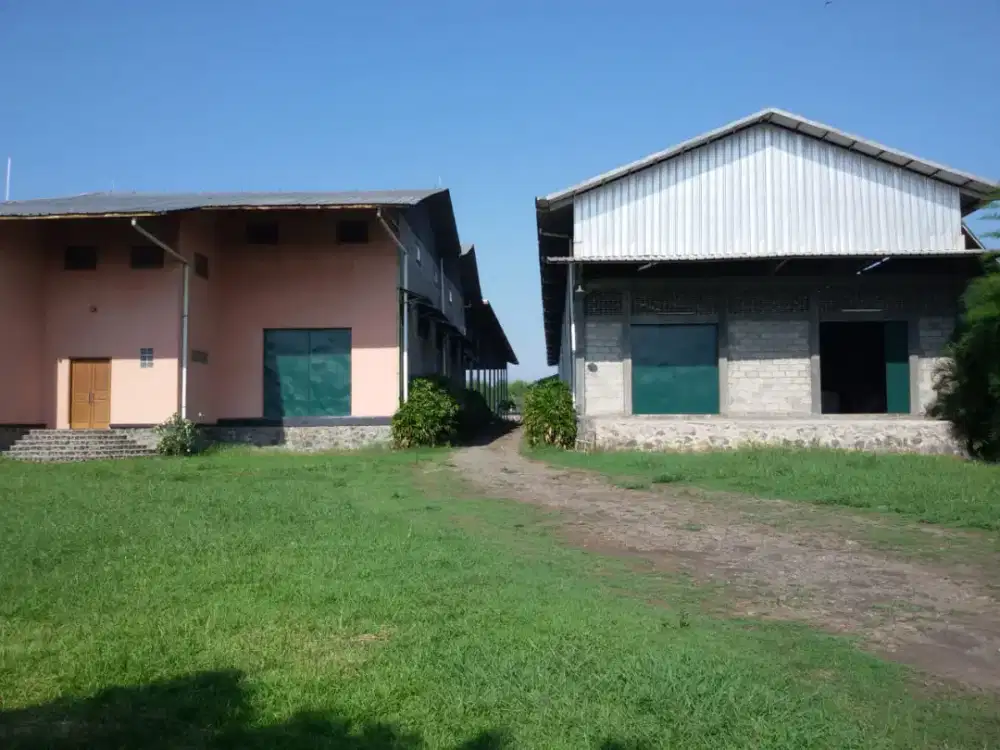 Gudang di Jual 11600/6000 Plumbon