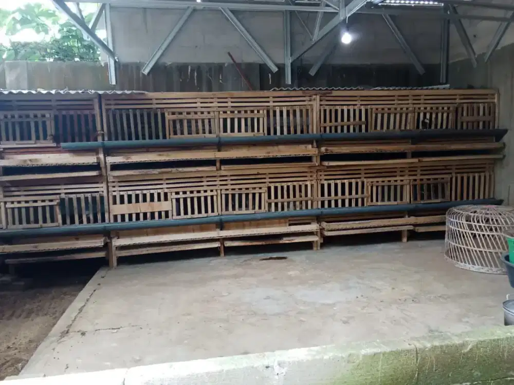 KANDANGAYAM Terbuat Kaso 4/7 dan 5/7 dan bambu