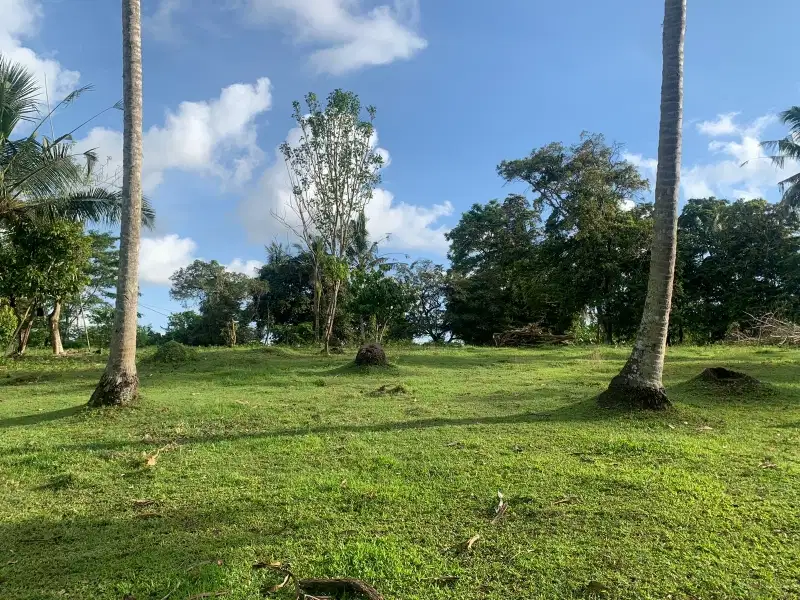 Dijual tanah murah dekat pantai balian beac di tabanan bali