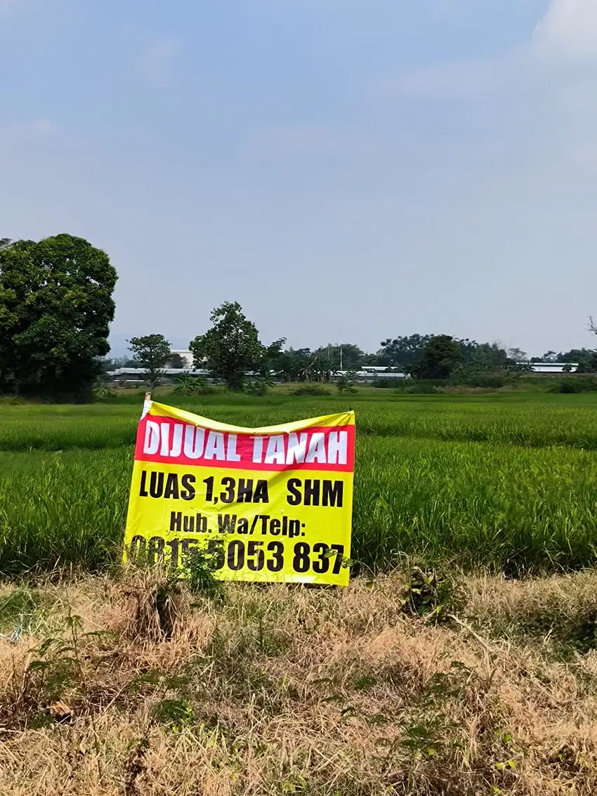 Dijual tanah Di pasuruan purwosari sukodermo bisa untuk pabrik