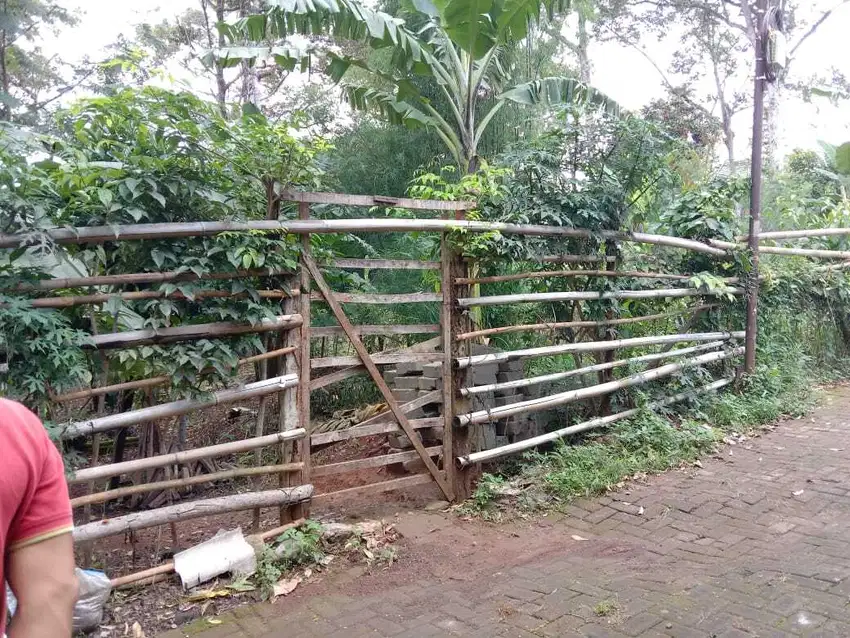 Tanah Kosong Zona Kuning 100 meter dari Jalan Grafika Raya Banyumanik