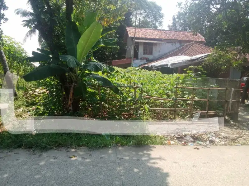 Tanah dijual murah 120 m2 pinggir jalan kampus IPB Dramaga Bogor