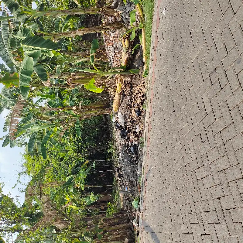 DISEWAKAN LAHAN NOL POROS SAMBIKEREP MANUKAN SURABAYA