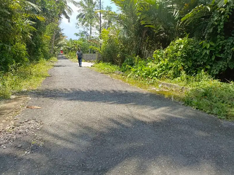 tanah jl palagan pulowatu pakem
