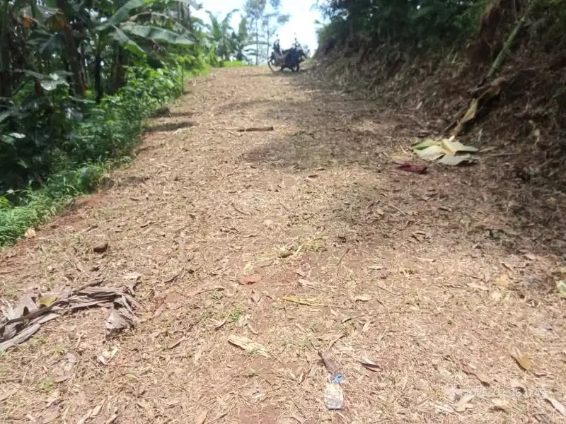 Di jual kebun cocok buat investasi Lokasi di Gunungpati 
