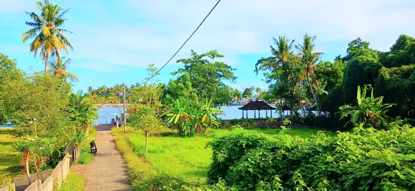 Tanah 2500 M2 Dkt Muara Pantai Pengambengan Negara Jembrana Bali