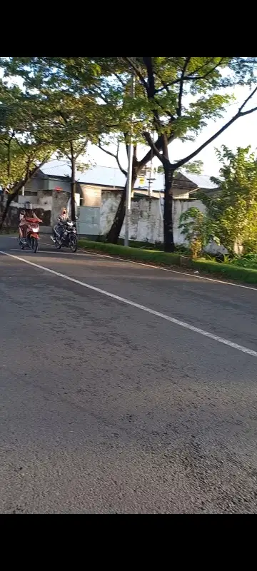JUAL SAWAH PACET SHM 4.290 M² HARGA 950 JT