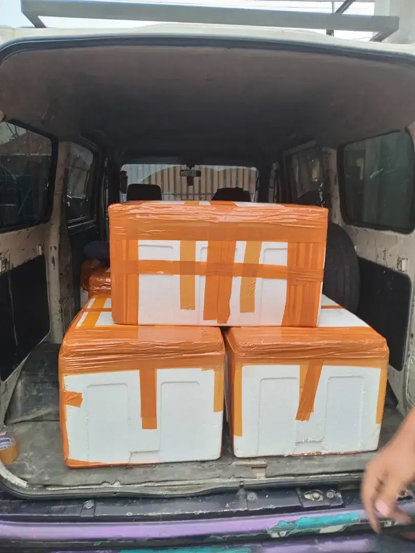 DagDur Premium Bergaransi Jogja
