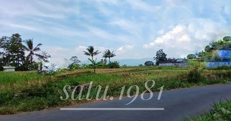 Dijual sebidang tanah luas pinggir jalan di kota strategis