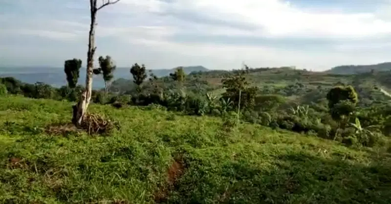 Tanah kebun 10 Ha, SHM, msk mobil cimungkal
