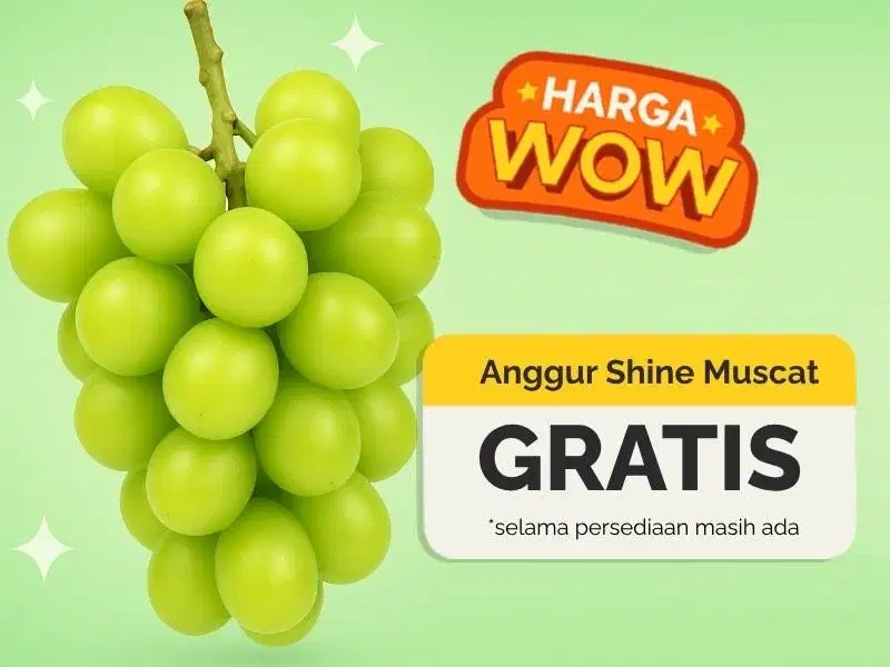 DICARI ART MOMONG ANAK