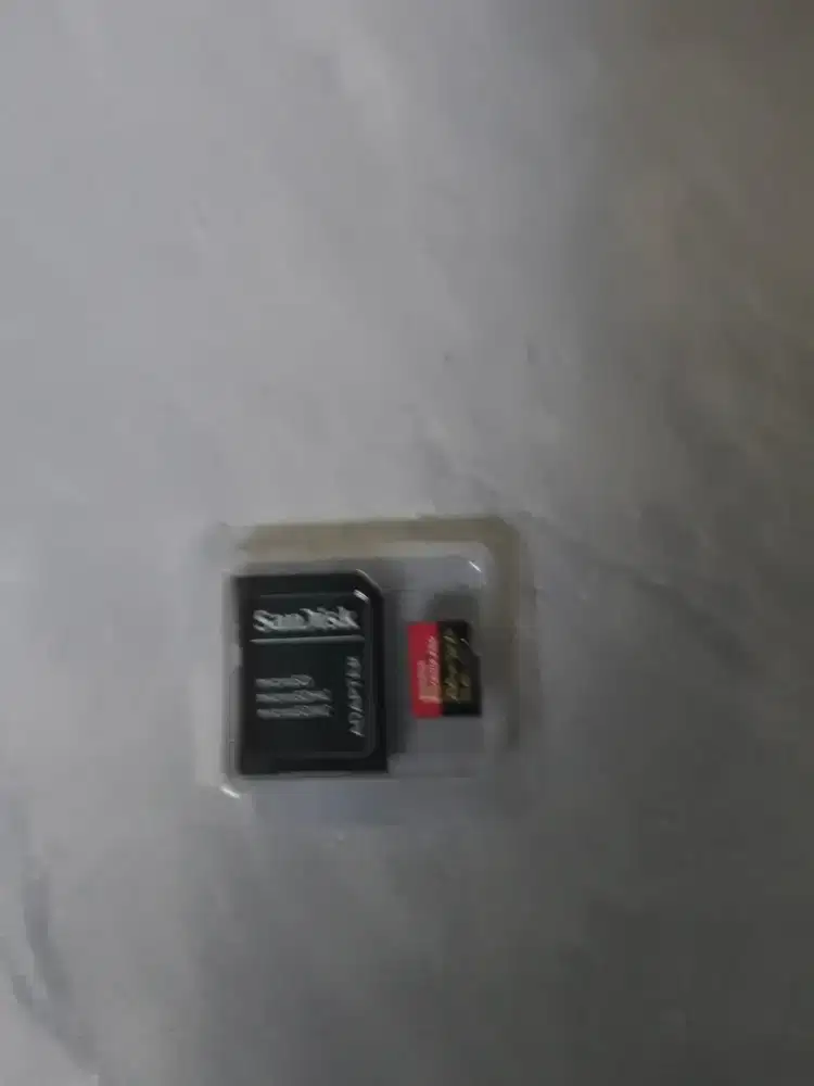 Sandisk 256GB normal