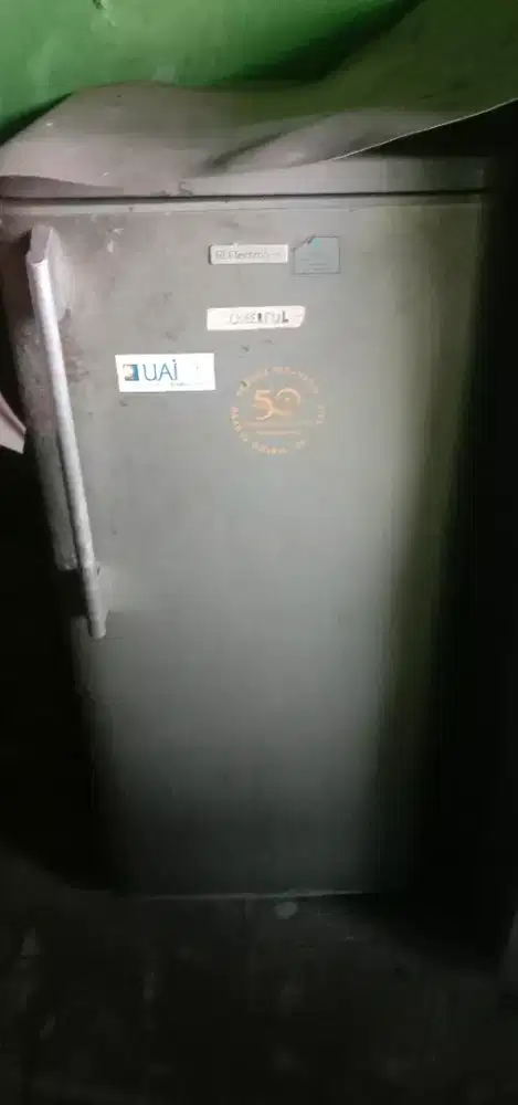 Kulkas 1 pintu merk elektrolux tidak dingin