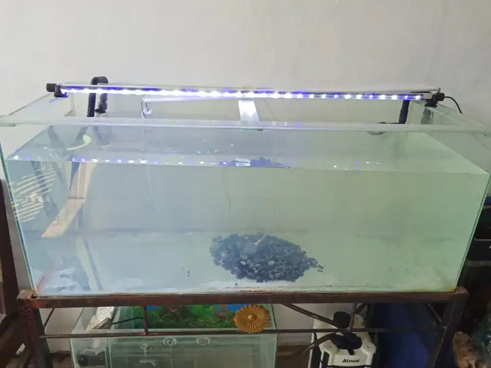 Aquarium fullset meja + lampu