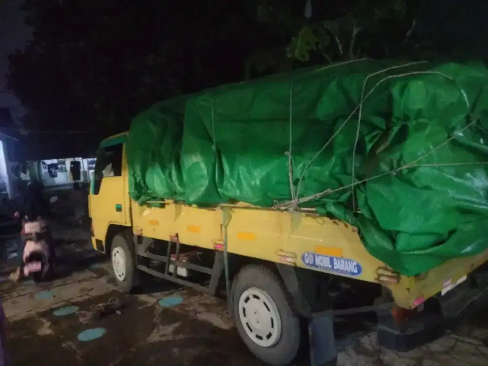 Sewa truk engkel 4 ban pindahan