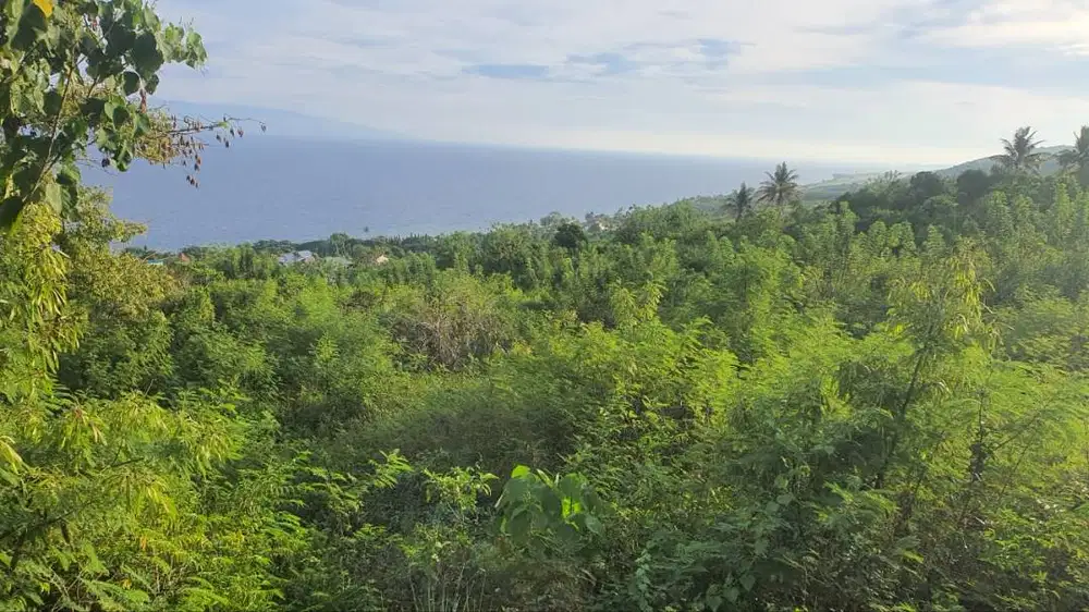 Dijual Tanah Ambarawang Kec.Kutai Kartanegara, Kalimantan Timur