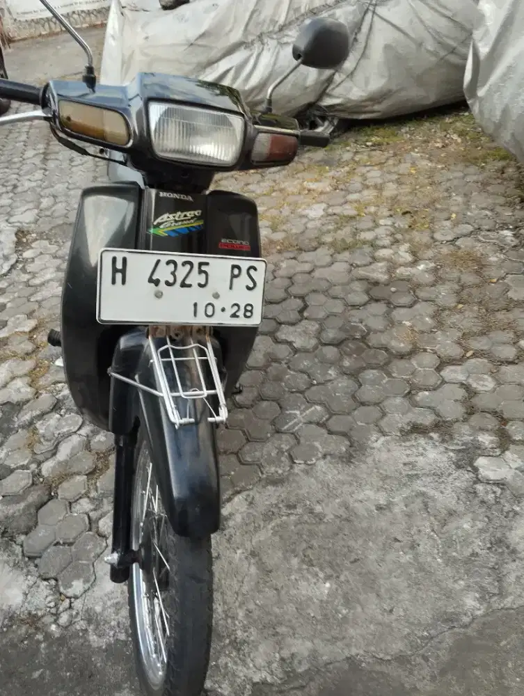 astrea grand bulus th1993