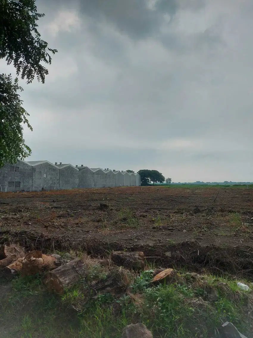 Lahan Industri Murah - Kawasan Ekonomi Khusus