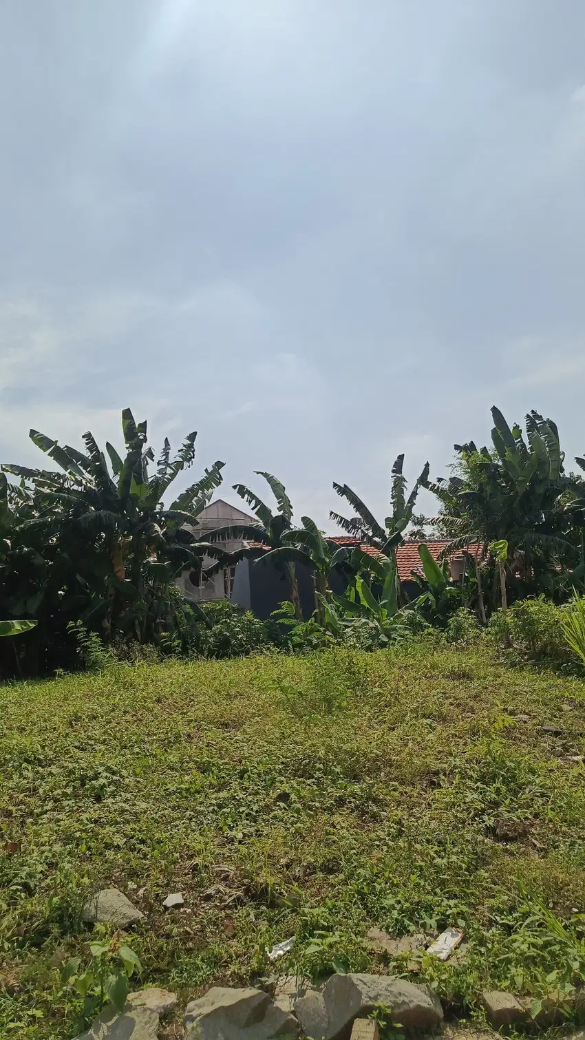 Tanah Kavling Bebas Banjir Di Dalam Perumahan Di Cipinang S8810