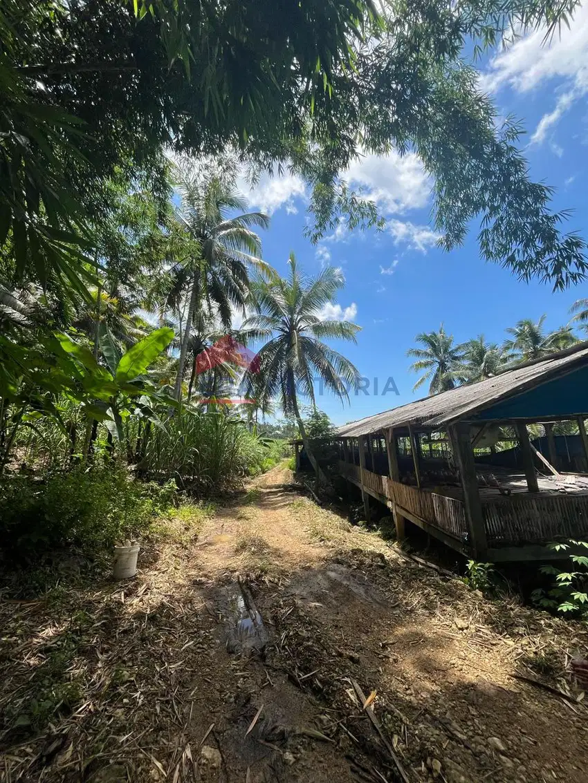 Tanah Luas Dekat Pantai Balekambang  Cocok untuk Usaha Wisata, Villa