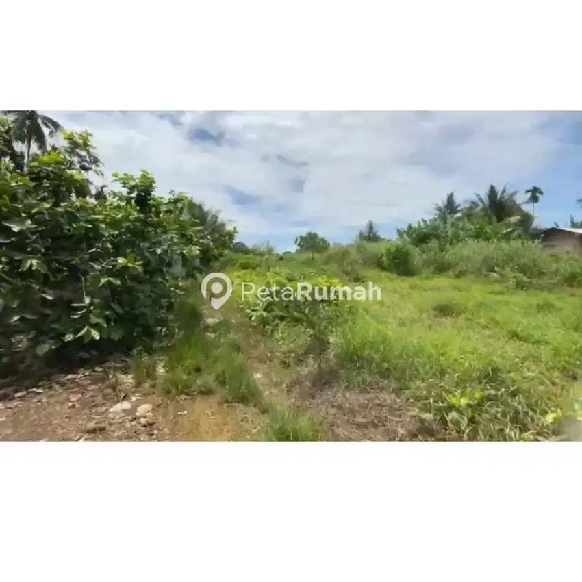 DIJUAL TANAH JALAN BESAR DELI TUA - PANCUR BATU (Surya)