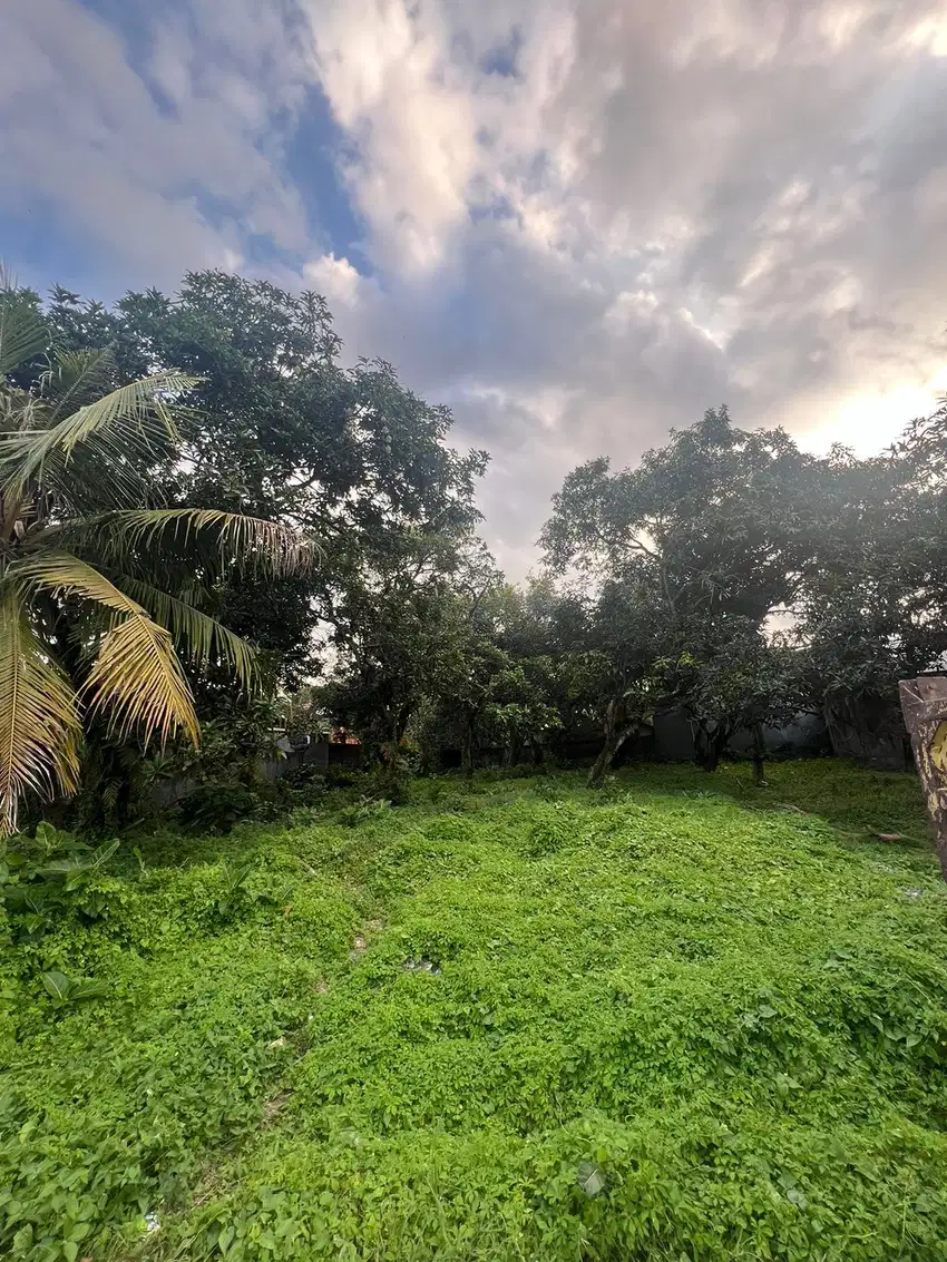 Dijual Cepat Tanah di Jl. Kusuma Dewa (Bung Tomo) Denpasar