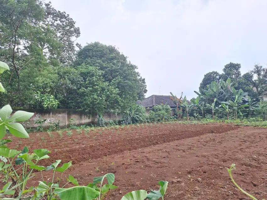 Tanah Kavling Depok Dekat Pondok Cabe, Cicilan 12x Tanpa Bunga!