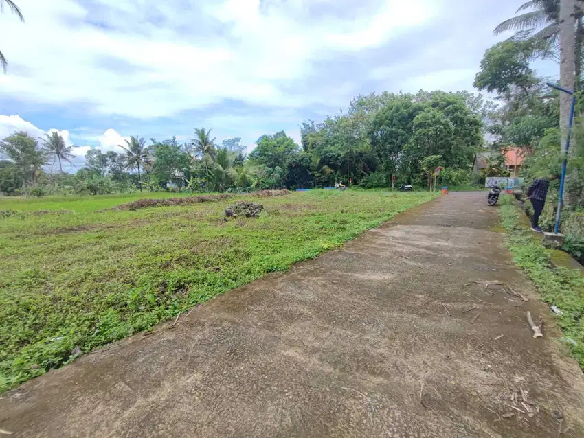BU, Dijual Cepat Tanah View Sawah Belakang UII
