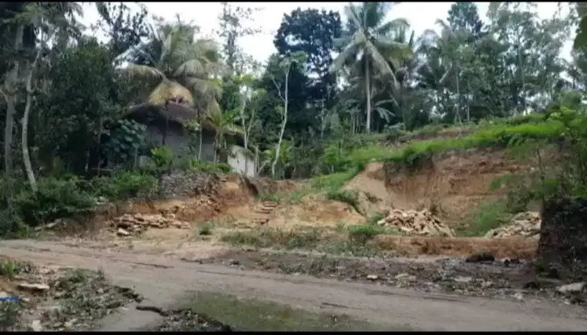 Jual Tanah Kebun di Wates Kulon Progo