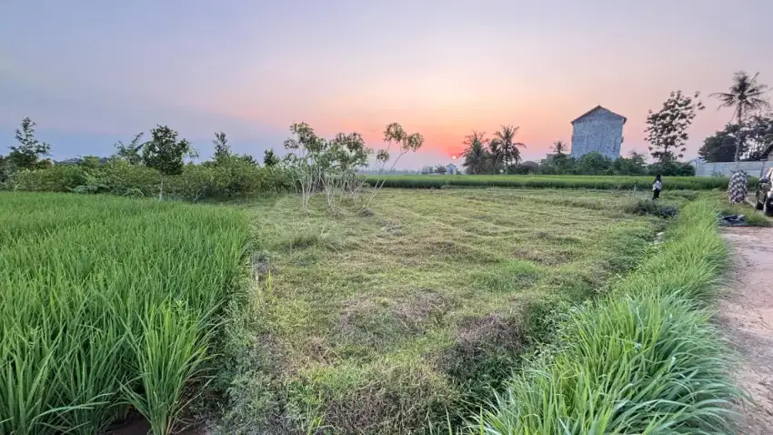 Tanah pekarangan 21x19 lokasi metro 29