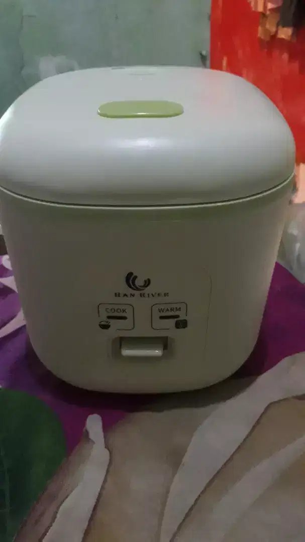 Rice Cooker/Magic Com