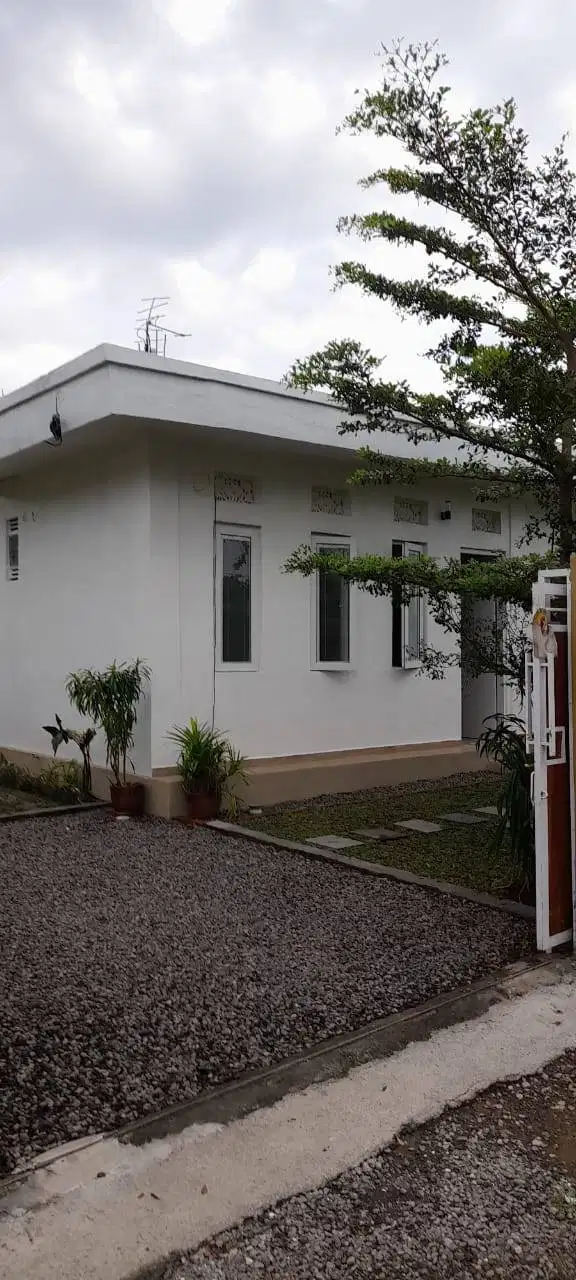 DI JUAL RUMAH SEMI VILA DI BUDUK BADUNG BALI