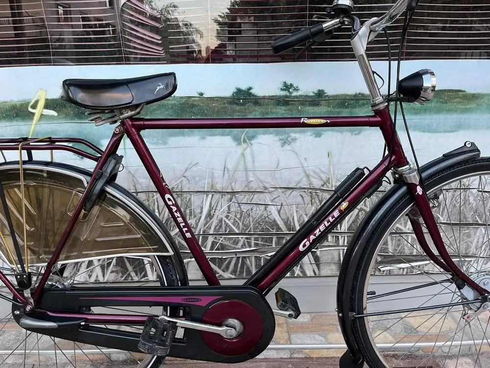 Sepeda Gazelle primeur