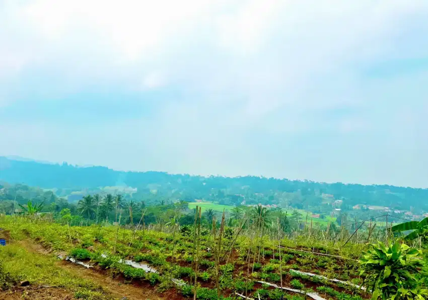Jual Tanah Murah Sukabumi, Dekat Pintu Tol