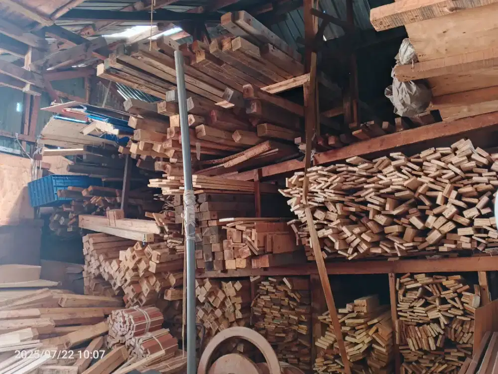 Berbagai Jenis Kayu
