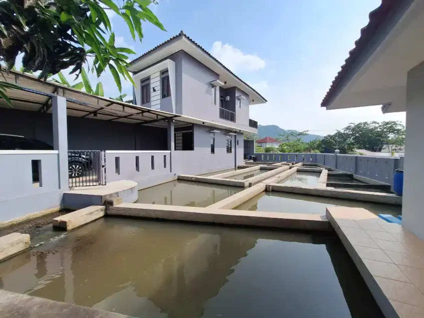 Jual Rumah dan Kolam Ikan
