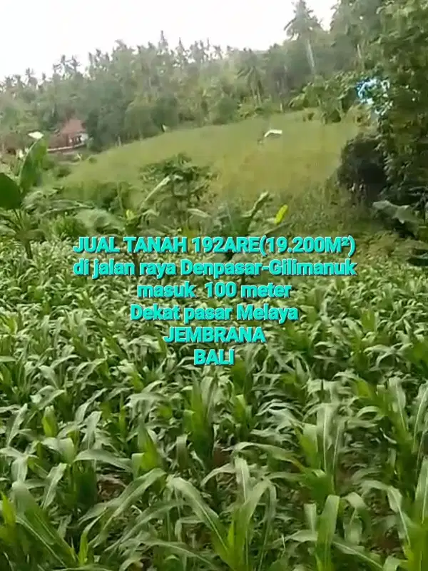 JUAL TANAH 192 ARE  MELAYA  JEMBRANA,MASUK 100M