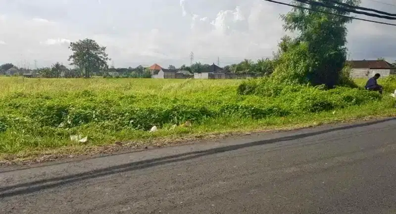 Tanah Jalan Utama Pantai Kedungu Kediri Tabanan Bali