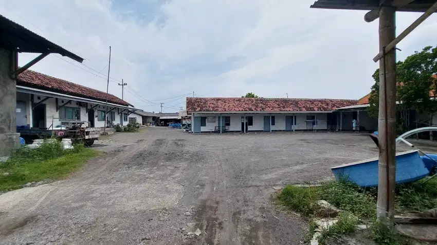 Jual Tanah Tambak Udang Luas di Daerah Desa Agel Situbondo
