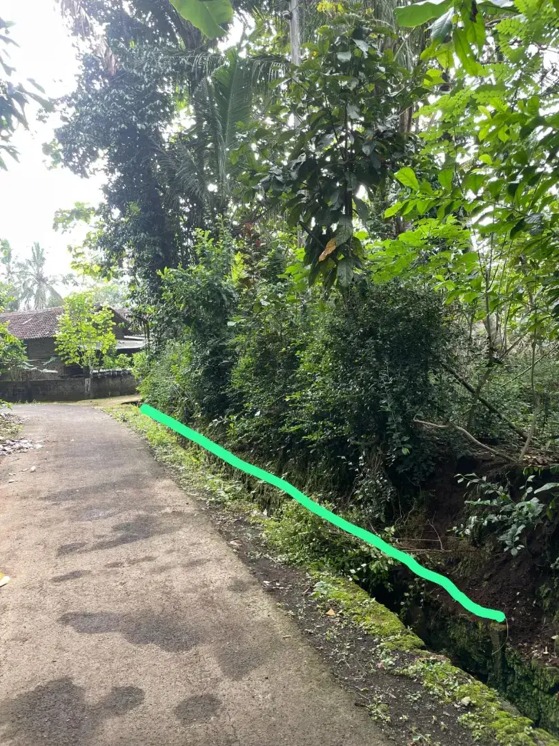 Dijual pekarangan murah