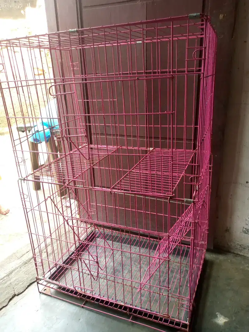 kandang kucing tingkat